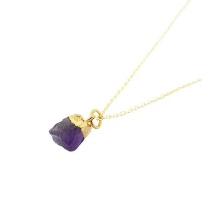 Harfi Women's Gold / Yellow Raw Amethyst Gold Plated February Birthstone Crystal Necklace