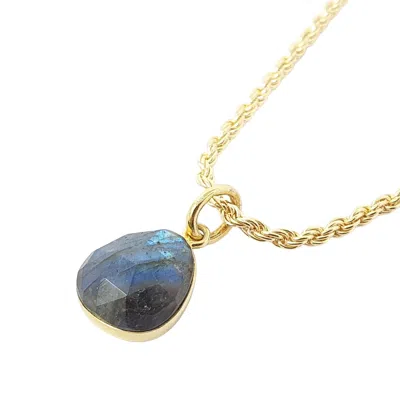 Harfi Women's Grey / Brown / Gold Statement Gold Vermeil Plated Labradorite Gemstone Crystal Rope Necklace