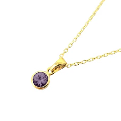 Harfi Women's Pink / Purple / Gold Mini Round Amethyst February Birthstone Pendant Necklace