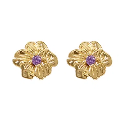 Harfi Women's Purple / Gold Amethyst February Birthstone Violet Birthflower Gold Plated Stud Earrings