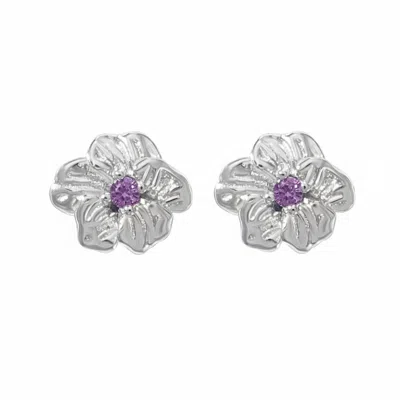 Harfi Women's Purple / Silver Amethyst February Birthstone Violet Birthflower Sterling Silver Stud Earring In Gray
