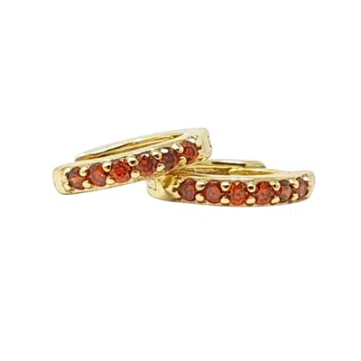 Harfi Women's Red / Gold Garnet January Birthstone Small Huggie Gold Plated Hoop Earrings In Multi