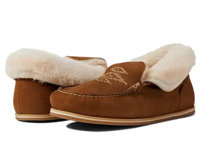 Hari Mari Alta In Brown