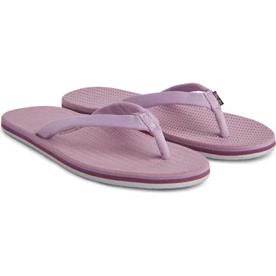 Hari Mari Dunes Cloud Waterproof Flip Flop In Purple