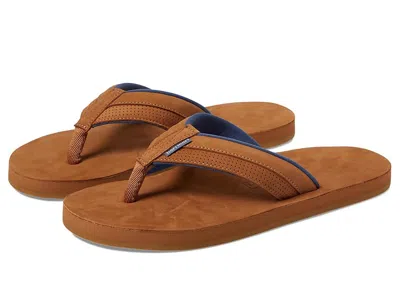 Hari Mari Grande In Brown