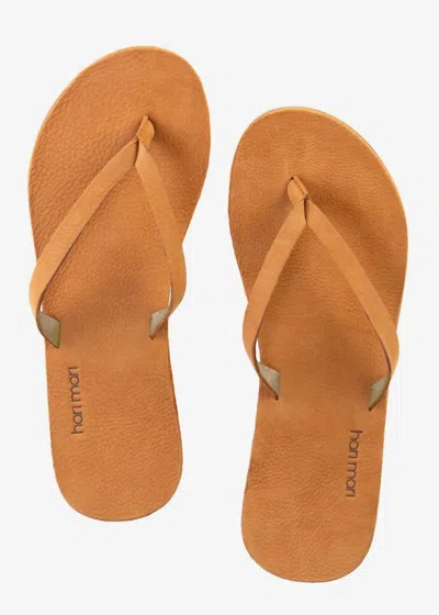 Hari Mari Meadows In Brown