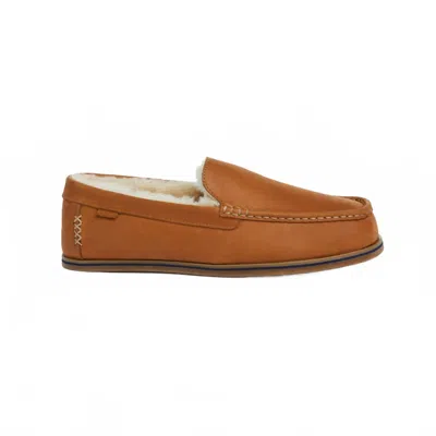 Hari Mari Men's Hacienda Lx Slippers In Chestnut In Brown