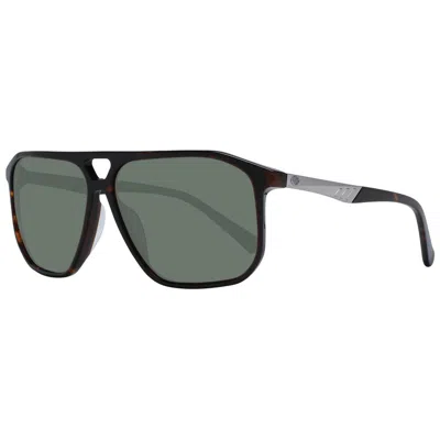 Harley-davidson Brown Plastic Sunglasses In Black