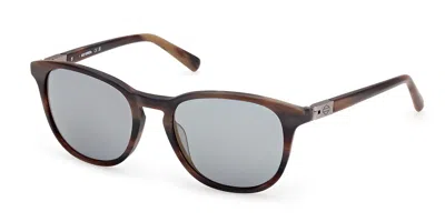 Harley Davidson Hd00019 50l Men's Sunglasses Brown Size 53 In Light Brown Horn