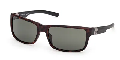 Harley Davidson Hd00022 52n Men's Sunglasses Tortoiseshell Size 63 In Brown