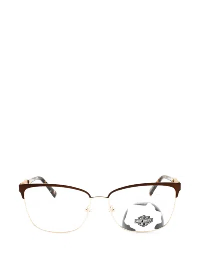 Harley-davidson Cat-eye Glasses In Brown