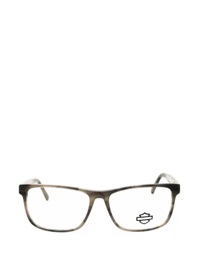 Harley-davidson Geometric-frame Glasses In 그레이