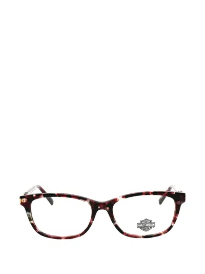 Harley-davidson Hd0578 Glasses In Multi