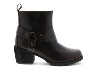 Pre-owned Harley-davidson Harleydavidson Lalanne Harness Boots (women's) Sneakers In Brown