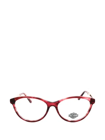 Harley-davidson Oval-frame Glasses In Pink