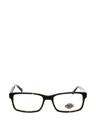 Harley-davidson Rectangle-frame Glasses In Brown