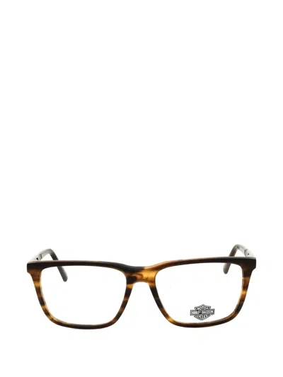 Harley-davidson Rectangle-frame Glasses In Brown