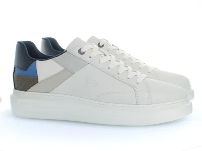 Harmont & Blaine In White