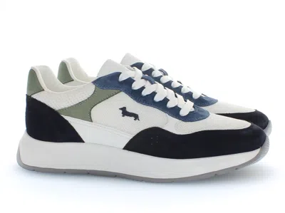 Harmont & Blaine 哈蒙特和布莱恩 In Blue