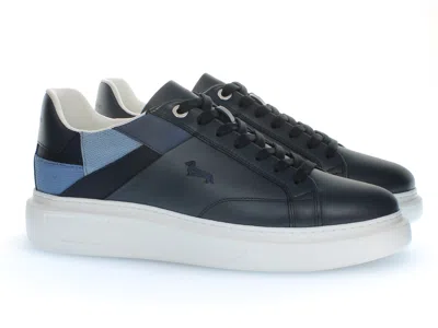 Harmont & Blaine 哈蒙特和布莱恩 In Blue