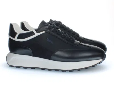 Harmont & Blaine 哈蒙特和布莱恩 In Blue