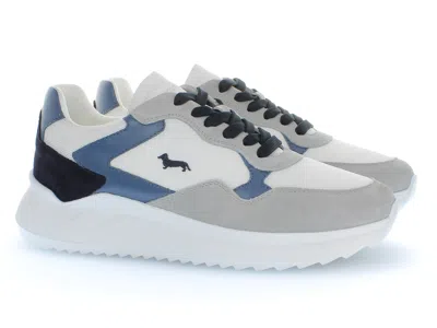 Harmont & Blaine 哈蒙特和布莱恩 In Multi