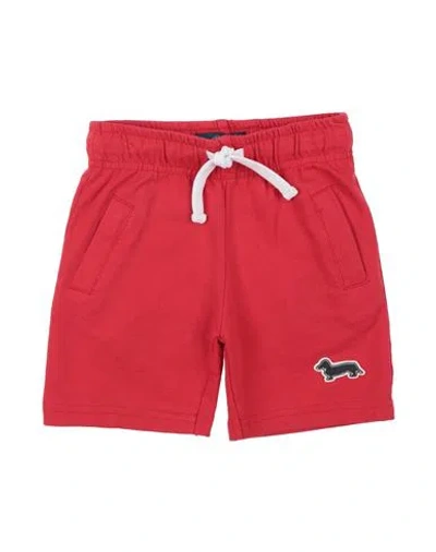 Harmont & Blaine Babies'  Newborn Boy Shorts & Bermuda Shorts Red Size 3 Cotton