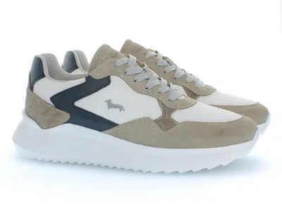 Harmont & Blaine 哈蒙特和布莱恩 In Sand