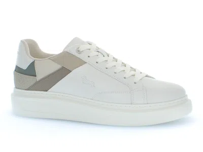Harmont & Blaine Trainers