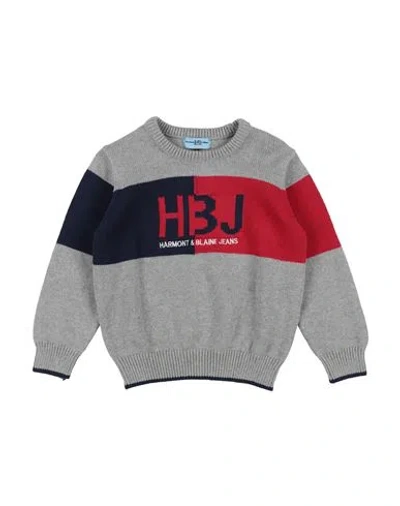 Harmont & Blaine Babies'  Toddler Boy Sweater Grey Size 4 Cotton