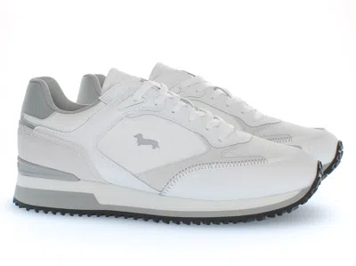 Harmont & Blaine 哈蒙特和布莱恩 In White