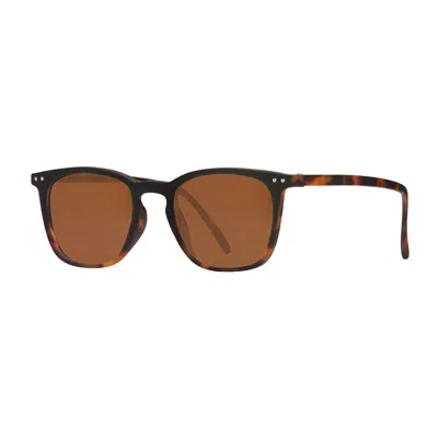 Harper Sunglass Tinted Readers -1.50 In Brown