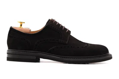 Harris Shoes 1913 Derby In Suede E Suola In Gomma In Multi