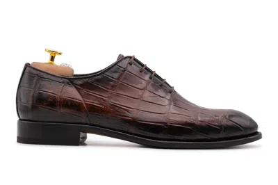 Harris Shoes 1913 Francesina In Pelle Di Coccodrillo In Brown