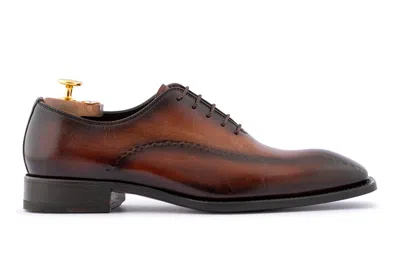 Harris Shoes 1913 Hand-painted Leather Brogues In Brandy