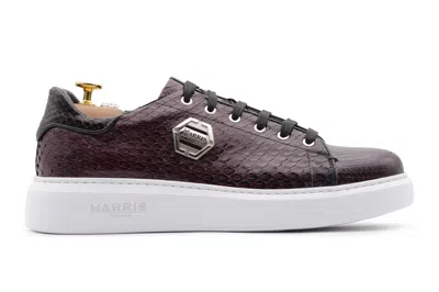 Harris Shoes 1913 Sneaker Bordeaux In Pelle Di Pitone In Multi