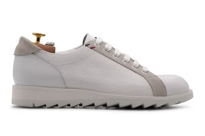 Harris Shoes 1913 Sneaker In Pelle Stampata In Neutral