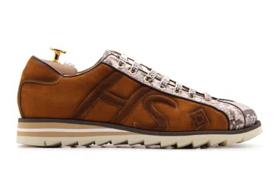 Harris Shoes 1913 Sneaker In Suede E Pitone Marrone In Brown