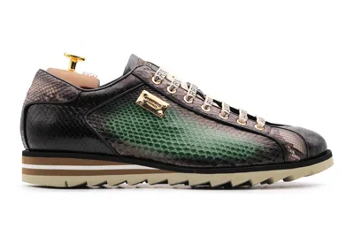Harris Shoes 1913 Sneaker Verde In Pelle Di Pitone In Multi
