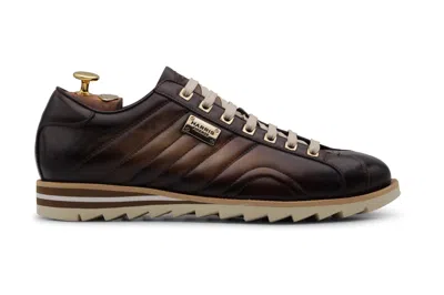 Harris Shoes 1913 Sneakers In Pelle In Brown