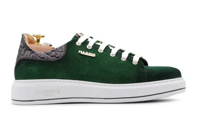 Harris Shoes 1913 Sneakers In Pelle Scamosciata Sfumata A Mano In Multi