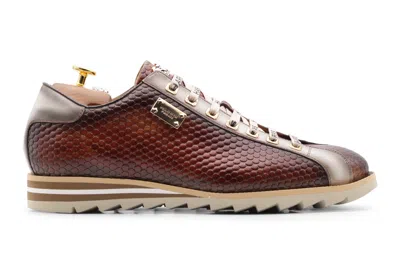 Harris Shoes 1913 Sneakers In Pelle Stampata Dipinta A Mano In Brown
