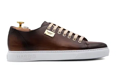 Harris Shoes 1913 Sneakers Liscia Dipinta A Mano In Multi