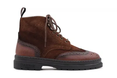 Harris Shoes 1913 Stivaletto In Suede In Brown