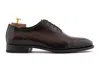 Harris Shoes 1913 Stringata In Pelle Pregiata Di Anguilla Testa Di Moro In Brown