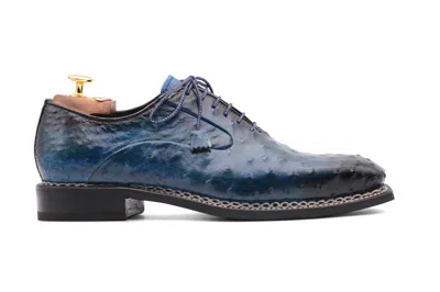 Harris Shoes 1913 Stringata In Pelle Pregiata In Struzzo Blu In Blue