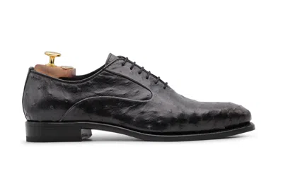 Harris Shoes 1913 Stringata In Pelle Pregiata In Struzzo Grigia In Black