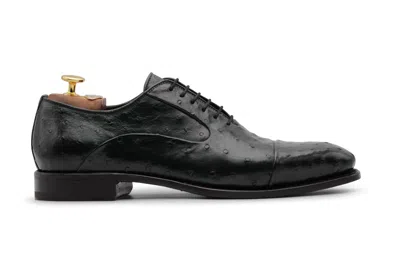 HARRIS SHOES 1913 STRINGATA IN PELLE PREGIATA IN STRUZZO NERA