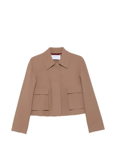 Harris Wharf London Point-collar Jacket In Brown