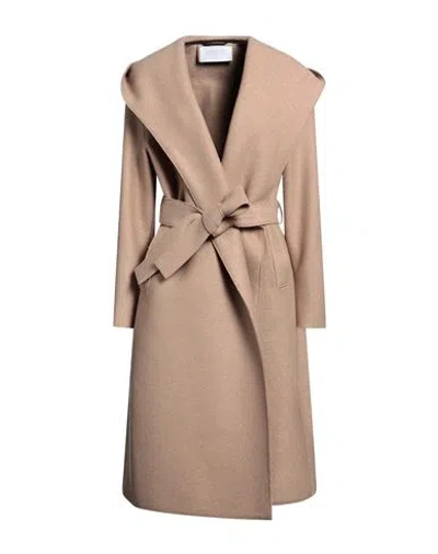 Harris Wharf London Woman Coat Camel Size 10 Wool In Brown